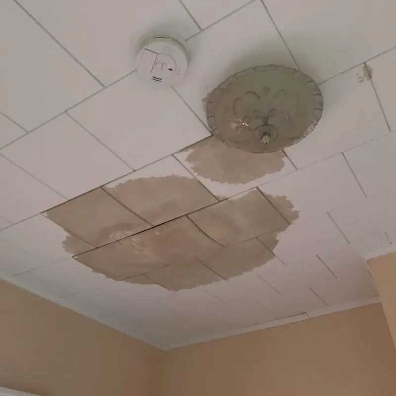 Ceiling Water Damage Repair in North Tunica, MS