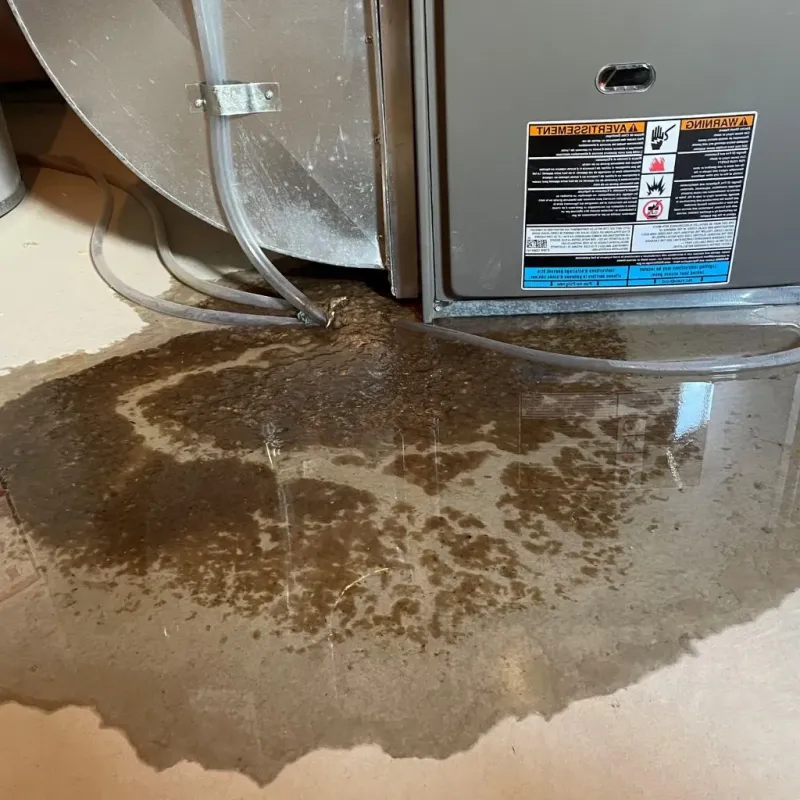 Pipe Burst and Leak Restoration in North Tunica, MS