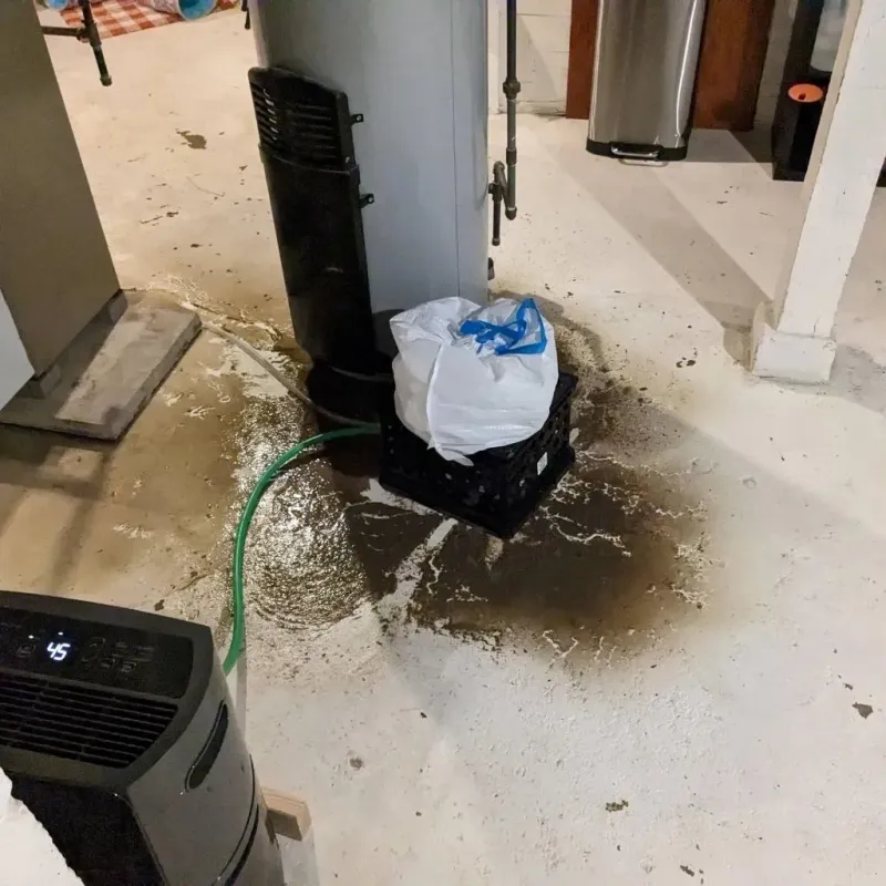 Sewage Backup Cleanup Service in North Tunica, MS